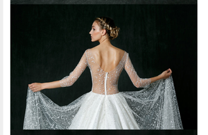 Sareh Nouri 'Nannette' size 4 used wedding dress back view on model