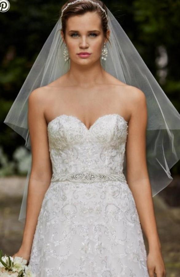 Watters 'WTOO Estelle' size 10 new wedding dress front view on model
