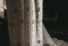 Load image into Gallery viewer, Anna Campbell &#39;Ashlyn&#39; size 8 used wedding dress view of train
